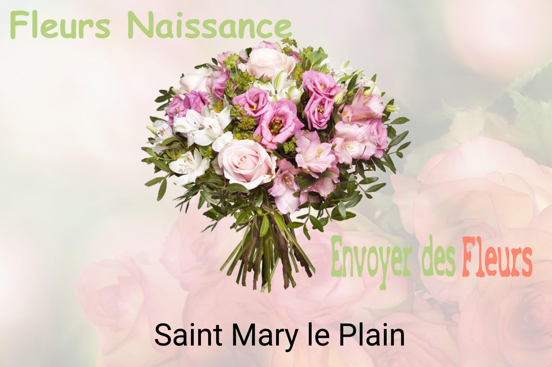 Bouquet de fleurs de naissance livré à Saint-Mary-le-Plain