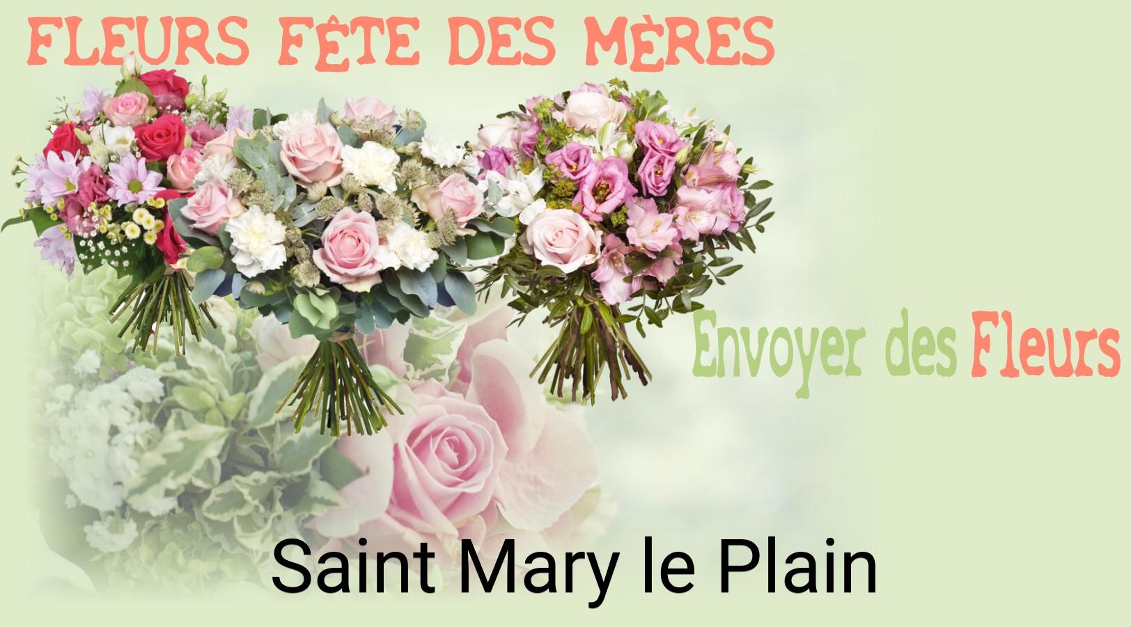 Bouquet de Fête des Mères livré à Saint-Mary-le-Plain